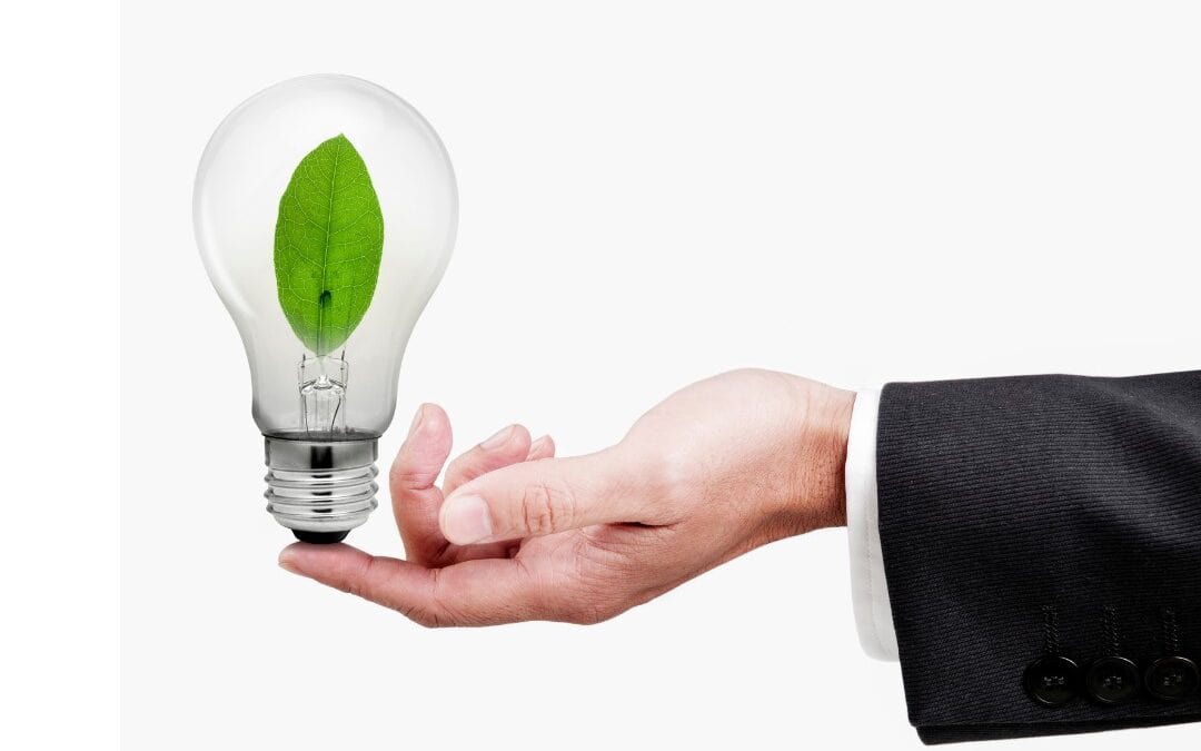 Going Green what does this mean to a homeowner?