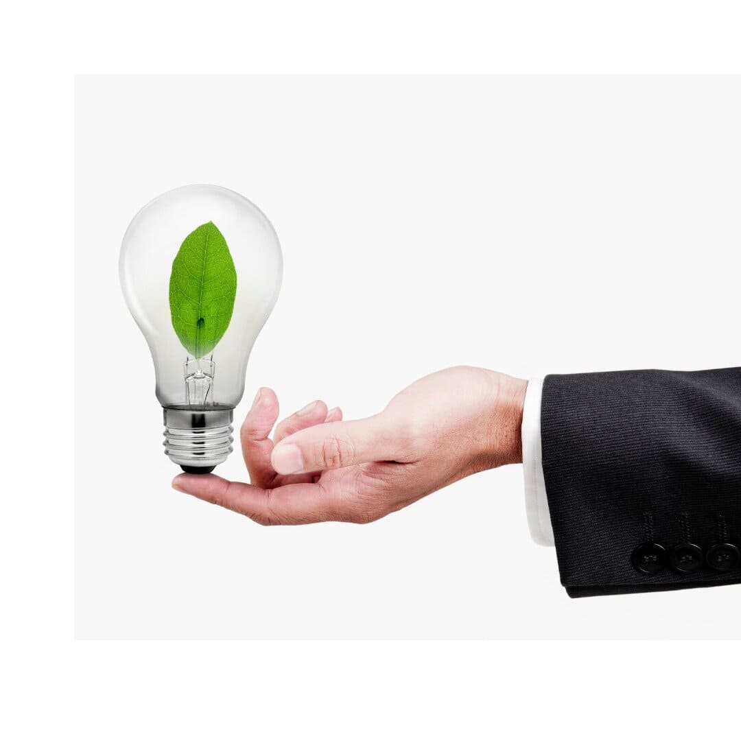 Going Green what does this mean to a homeowner Going Green what does this mean to a homeowner