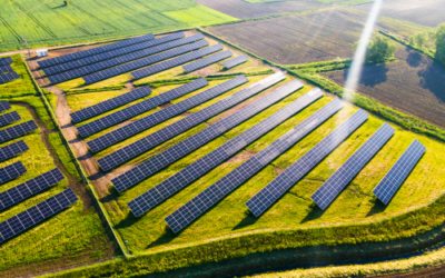 Solar Farms in South Africa – the debate
